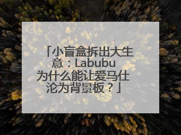 小盲盒拆出大生意：Labubu为什么能让爱马仕沦为背景板？